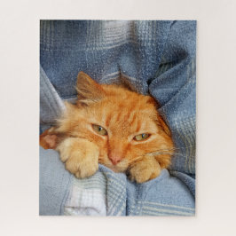 Niedliche Katze