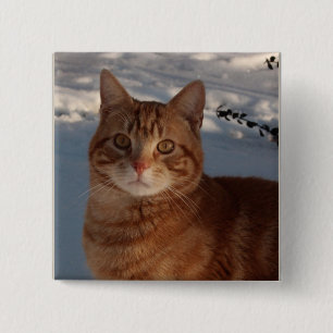 Niedliche Katze Button