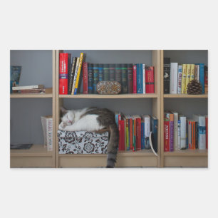 Niedliche Katze, die in Büchern der Bibliothek sch Rechteckiger Aufkleber