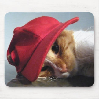 Niedliche Katze, die rote Kappe Mousepad trägt