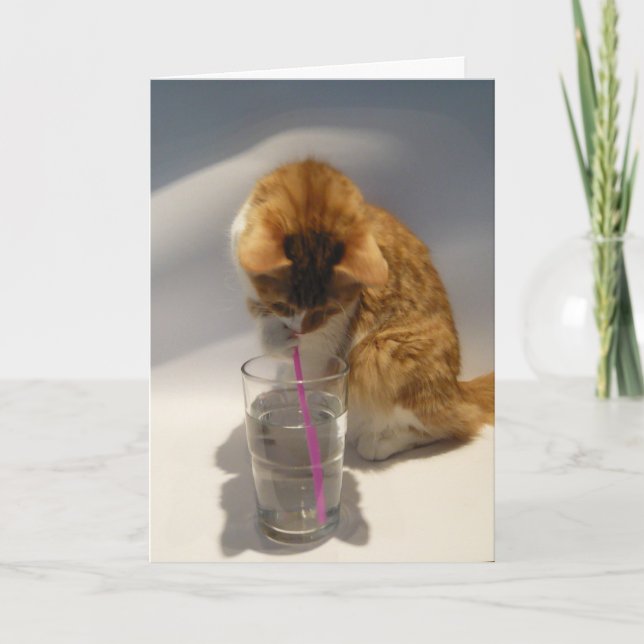 Niedliche Katze, die von Stroh-alles Gute zum Karte (Vorderseite)
