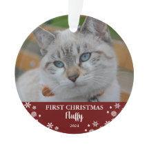 Niedliche Katze Erste Weihnachtsschneeflocken Foto