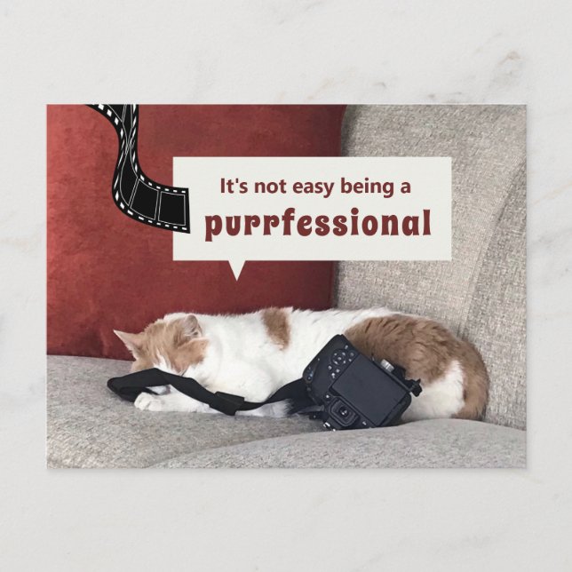 Niedliche Katze "Es ist nicht einfach, ein Fachman Postkarte (Vorderseite)