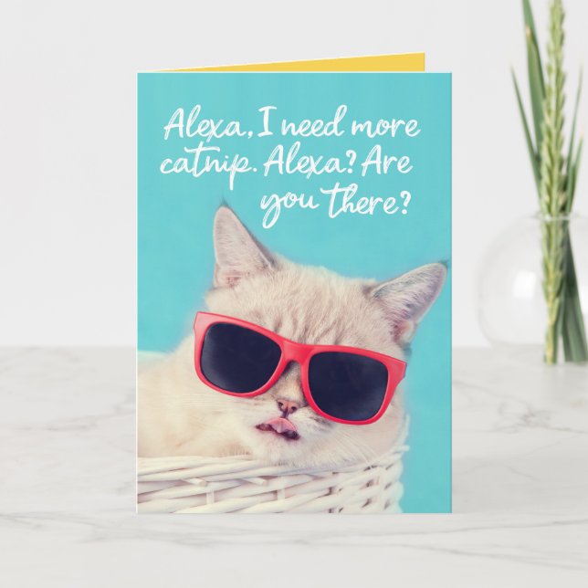 Niedliche Katze Fragend Alexa für Catnip Geburtsta Karte (Vorderseite)