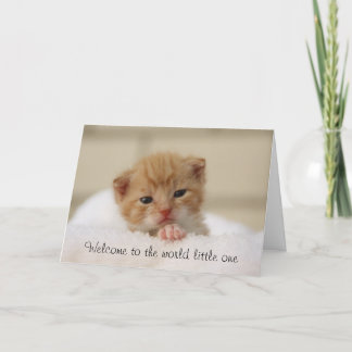 Niedliche Katze Herzlich Willkommen auf der Welt B Karte