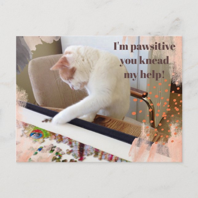 Niedliche Katze "Ich bin pawsitiv, dass du meine H Postkarte (Vorderseite)