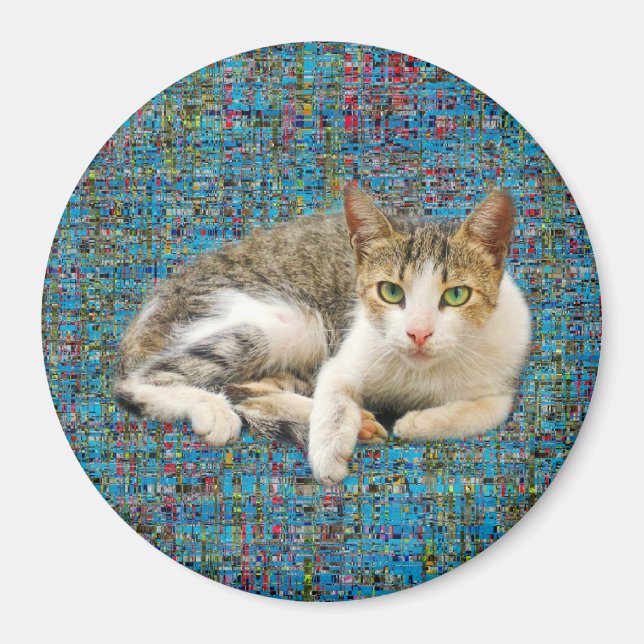 Niedliche Katze im abstrakten Hintergrund Magnet (Vorne)