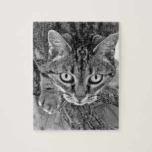 Niedliche Katze im Baum