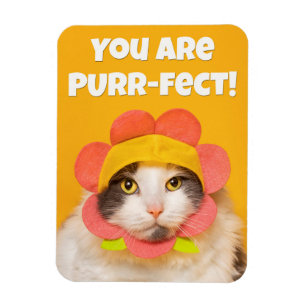 Niedliche Katze in Blume Hat Spaß Magnet
