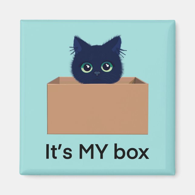 Niedliche Katze in einer Kiste auf blau-grün Magnet (Vorne)