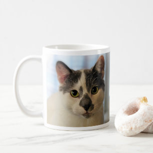 Niedliche Katze Kaffeetasse