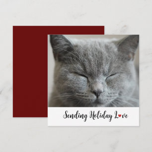Niedliche Katze Liebe für Ferien