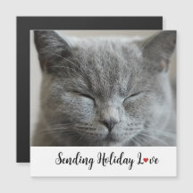 Niedliche Katze Liebe für Ferien