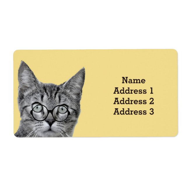 Niedliche Katze mit Brille auf dem gelben Adresset (Vorne)