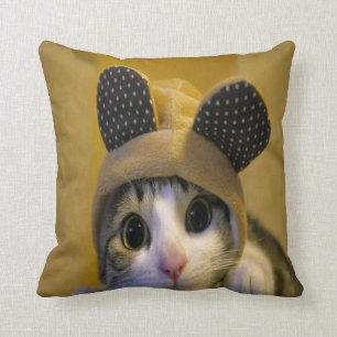 Niedliche Katze mit den großen Augen in gekleidet Kissen