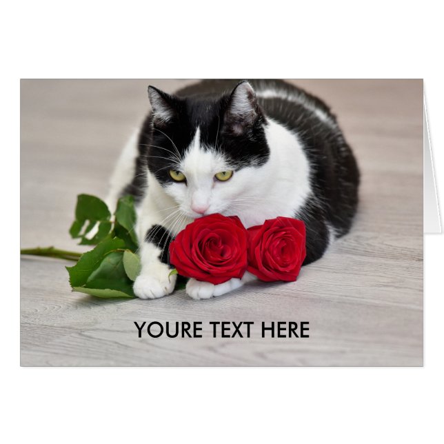 Niedliche Katze mit der Roten Rose (Vorderseite (Horizontal))