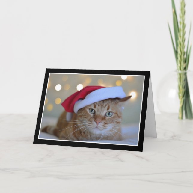 Niedliche Katze mit einer Weihnachtsmannmütze Weih Karte (Vorderseite)