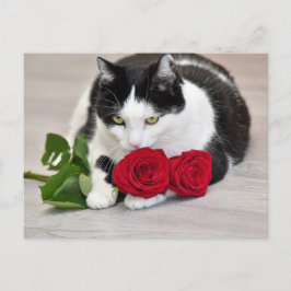 Niedliche Katze mit rote Rose Postkarte