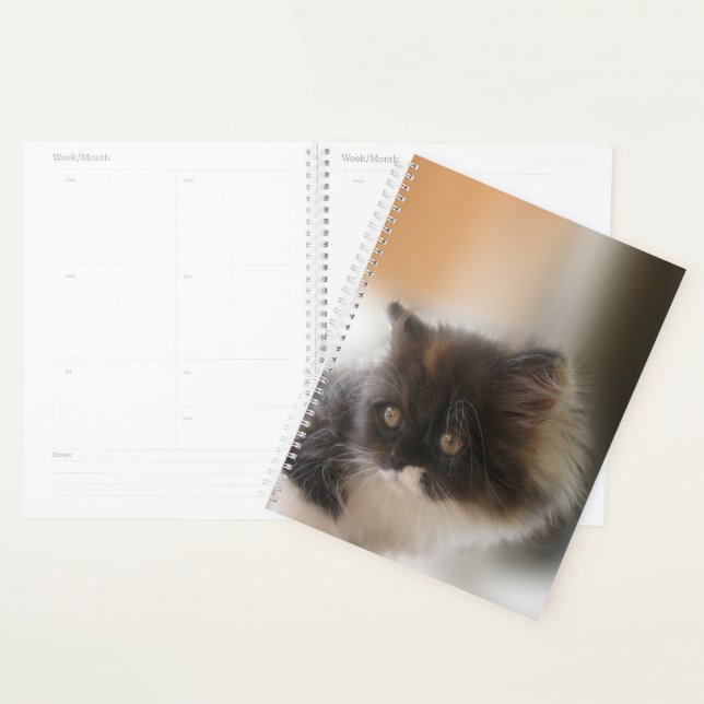 Niedliche Katze Planer (Anzeige)