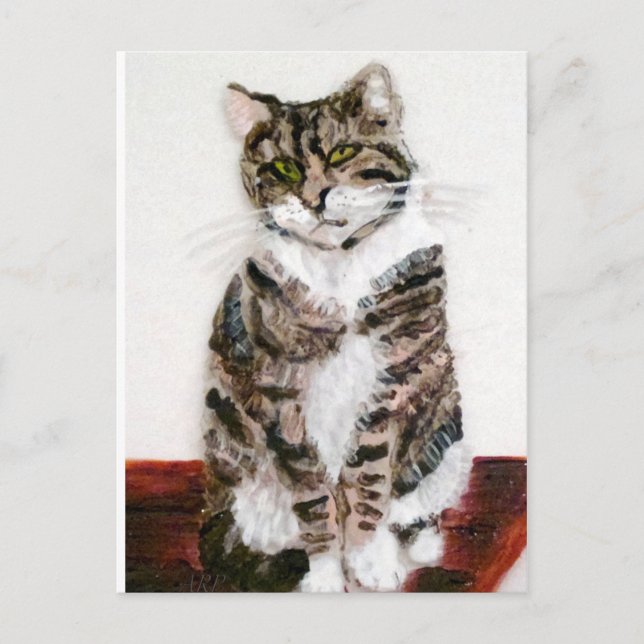 Niedliche Katze Postkarte (Vorderseite)