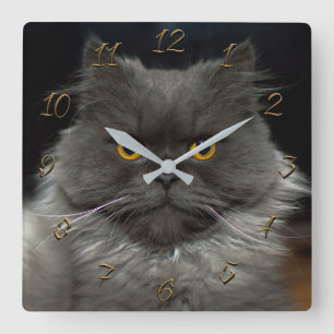 Niedliche Katze Quadratische Wanduhr