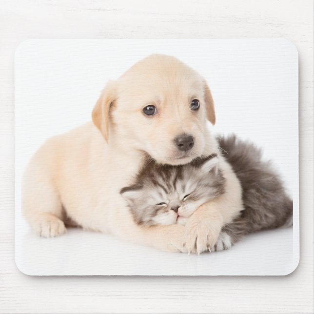 niedliche Katze schläft in den Händen des Hundes Mousepad (Vorne)