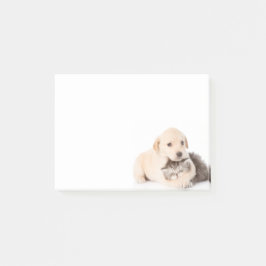 niedliche Katze schläft in den Händen des Hundes Post-it Klebezettel