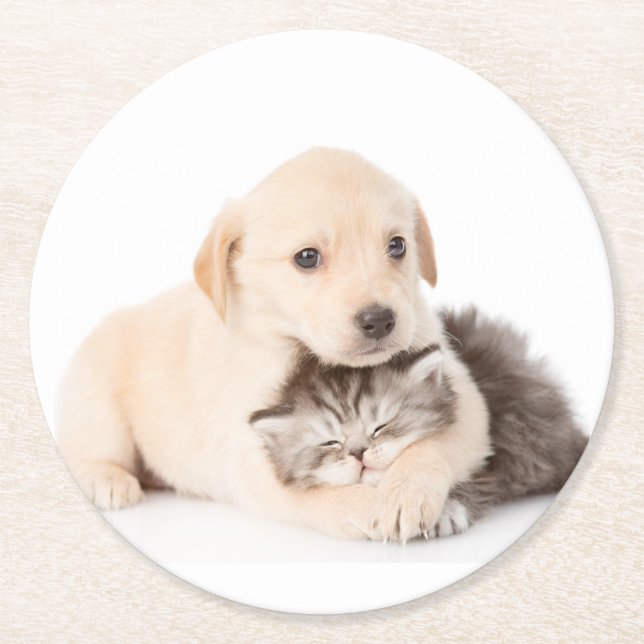 Niedliche Katze schläft in den Händen des Hundes Runder Pappuntersetzer (Vorderseite)