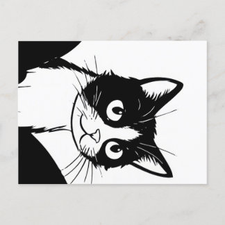 niedliche Katze Schwarz-weiße Postkarte