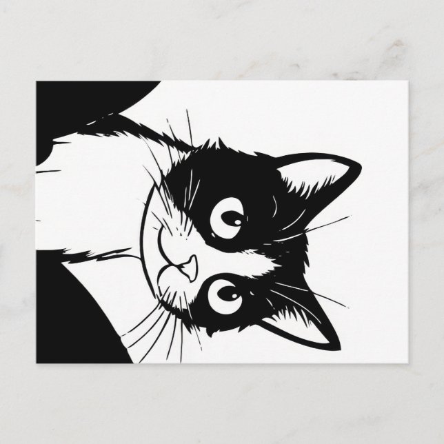 niedliche Katze Schwarz-weiße Postkarte (Vorderseite)