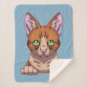Niedliche Katze Sherpadecke