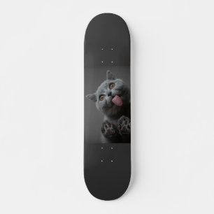 Niedliche Katze Skateboard