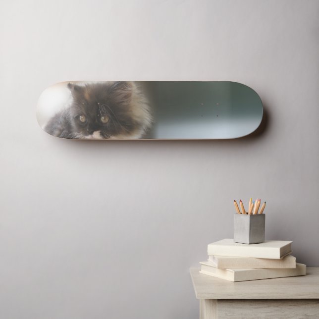 Niedliche Katze Skateboard (Wandkunst (Horz))
