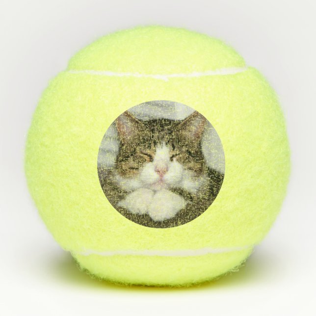 Niedliche Katze Tennisbälle (Vorderseite)