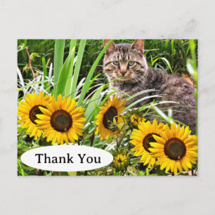 Niedliche Katze und Sonnenblumen Danke, Postcard Postkarte