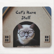Niedliche Katzen Foto Katzen haben Mitarbeiter Zit