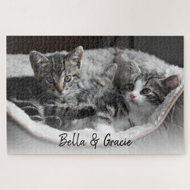 Niedliche Katzen Haustiere Foto Personalisierte Ha (Horizontal)