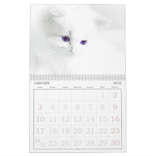 Niedliche Katzen Kalender