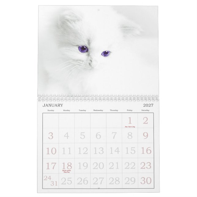 Niedliche Katzen Kalender (Jan 2027)