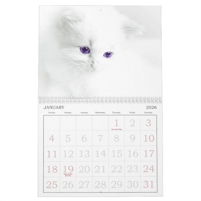 Niedliche Katzen Kalender (Jan 2026)