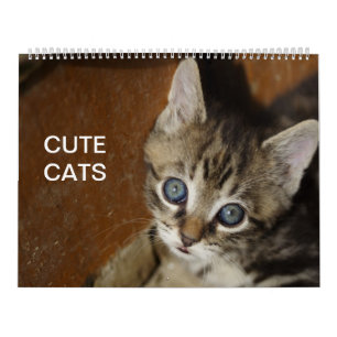 Niedliche Katzen Kalender