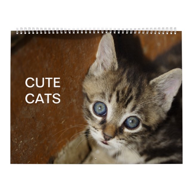 Niedliche Katzen Kalender (Titelbild)