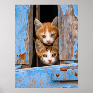Niedliche Katzen-Kätzchen in einem blauen Vintage Poster