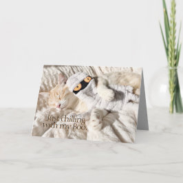 Niedliche Katzen kühlen sich nur mit meinem Katzen Karte