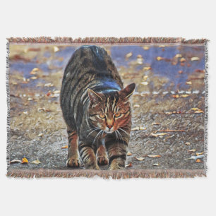Niedliche Katzen-Sammlung 12 Decke
