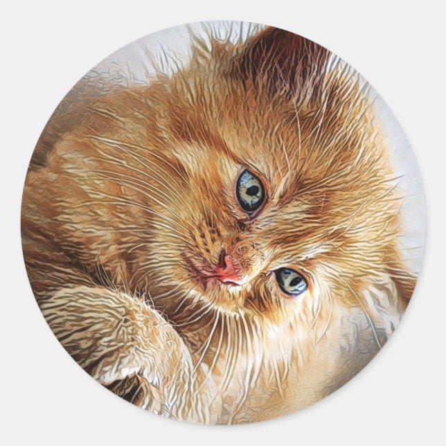 Niedliche Katzen-Sammlung Runder Aufkleber (Vorderseite)
