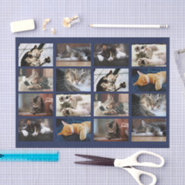 Niedliche Katzen und Kätzchen-Fotomaterial auf Nav Seidenpapier