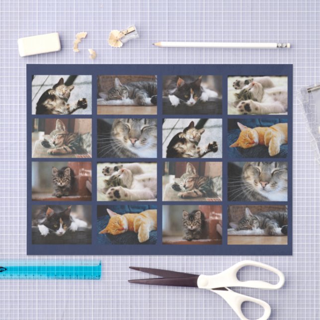 Niedliche Katzen und Kätzchen-Fotomaterial auf Nav Seidenpapier (Handwerk)