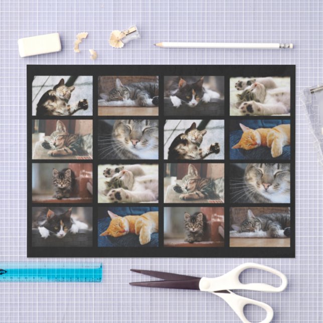 Niedliche Katzen und Kätzchen-Fotopatalog auf Schw Seidenpapier (Handwerk)