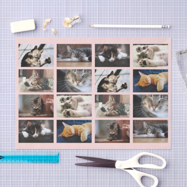 Niedliche Katzen und Kätzchen Fotovorlage auf rosa Seidenpapier (Handwerk)